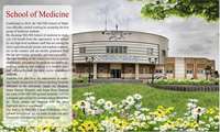 School of Medicine